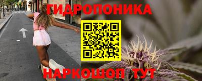 шишки Пугачёв