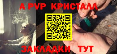 шишки Пугачёв