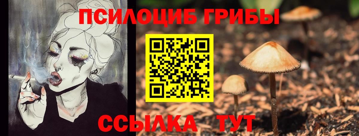 Псилоцибиновые грибы мухоморы Саяногорск