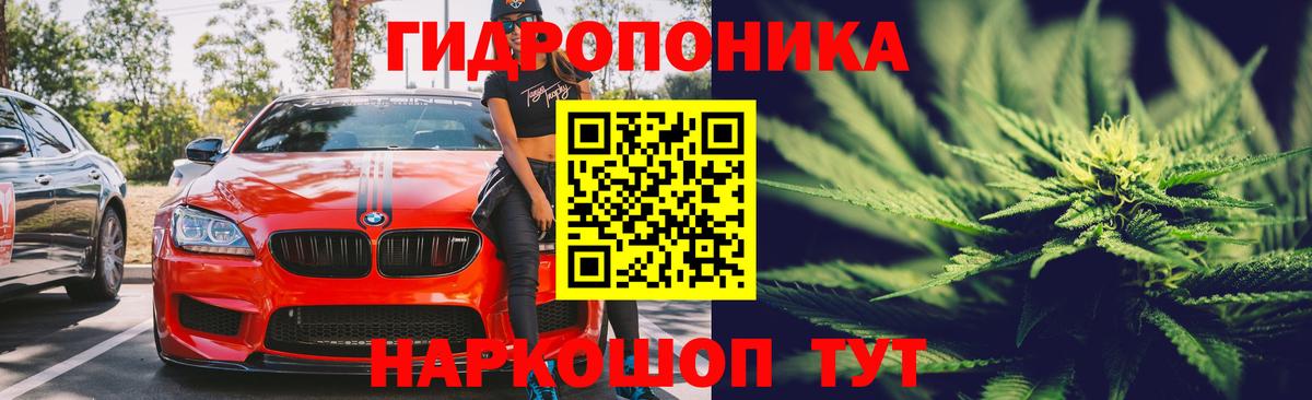 Саяногорск  Каннабис марихуана  Конопля ГИДРОПОН  Бошки Шишки OG Kush  Вход с VPN 